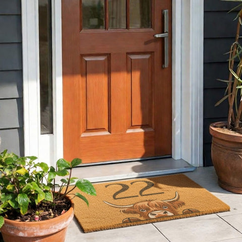 Custom Highland Cow Brush Doormat Printed Door Mat Personalised Text Welcome Mat