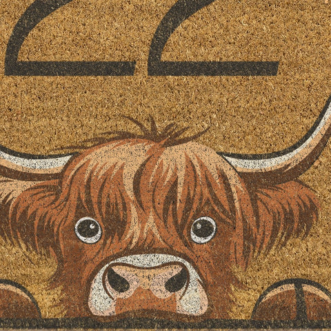 Custom Highland Cow Brush Doormat Printed Door Mat Personalised Text Welcome Mat